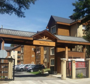 Desconectate departamento en Pucon